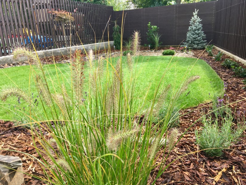 4D439793-5528-455F-B6A2-1790B3FD7931_1_201_a